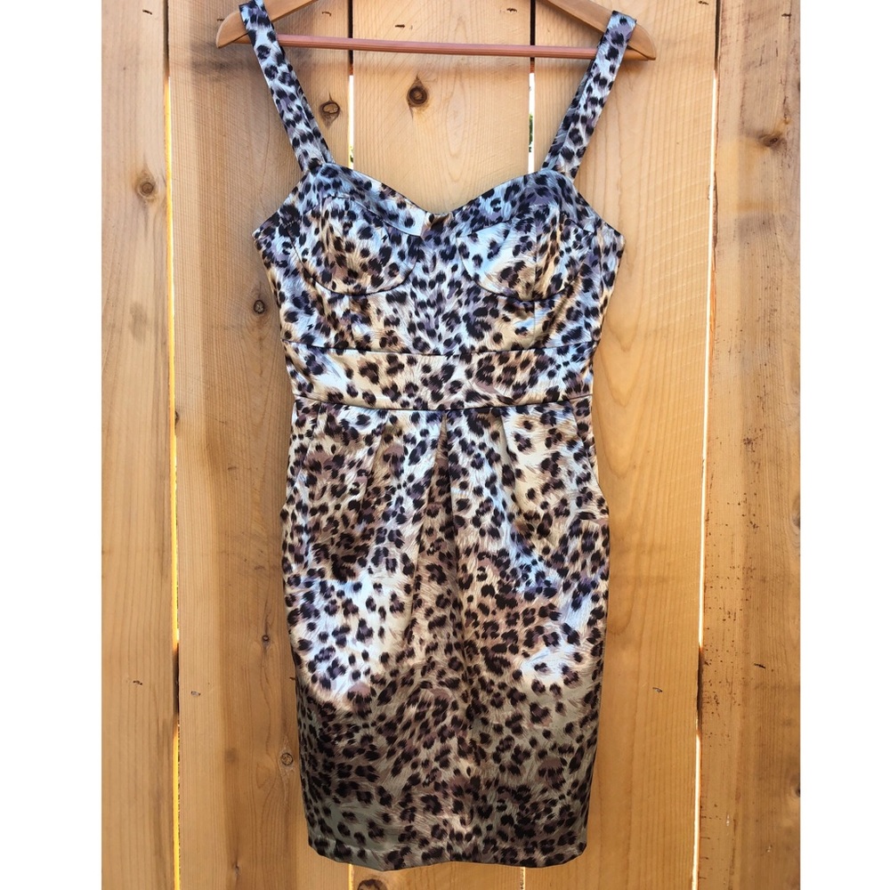 Animal Print Pocket Dress